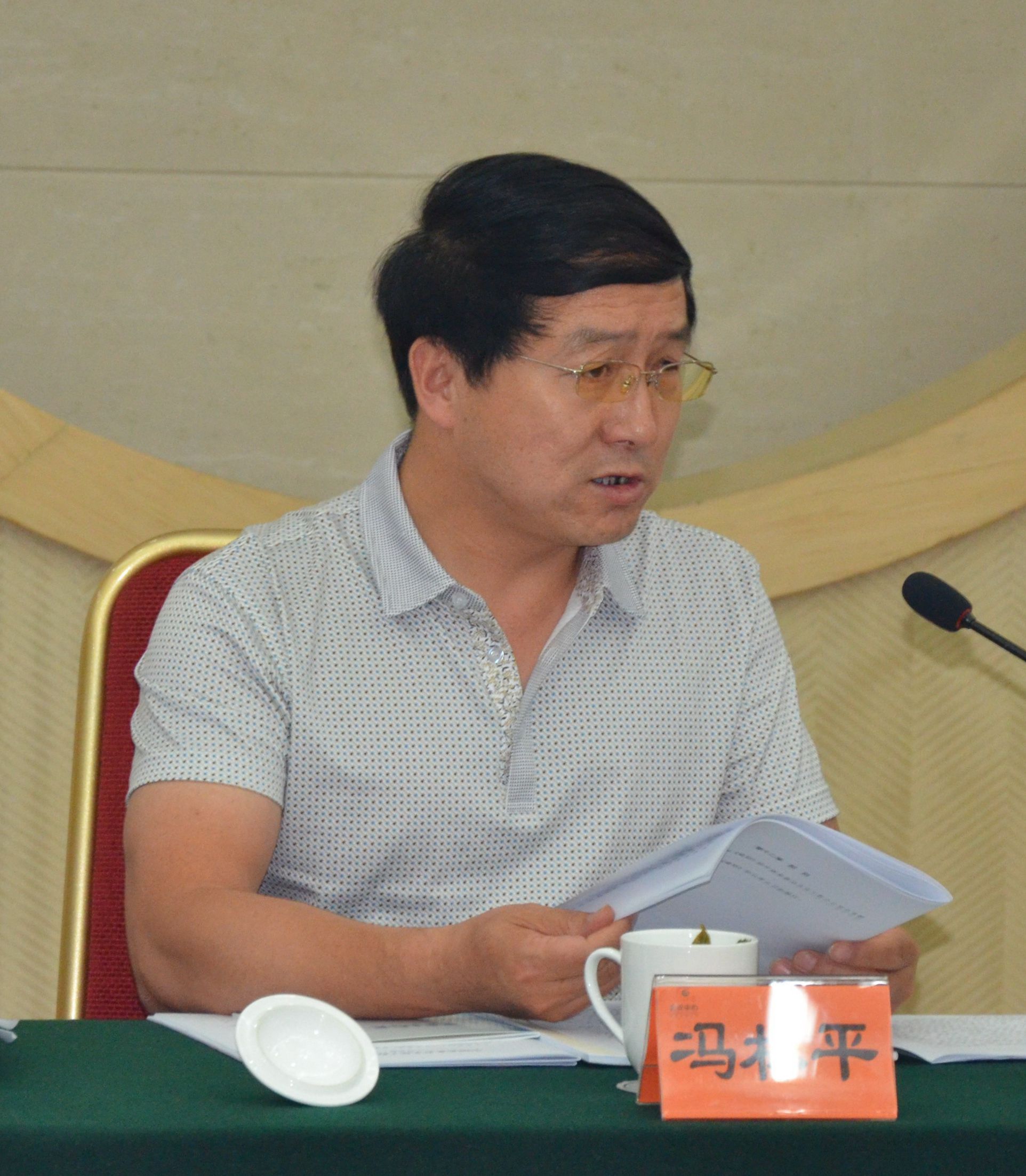 冯林平发言