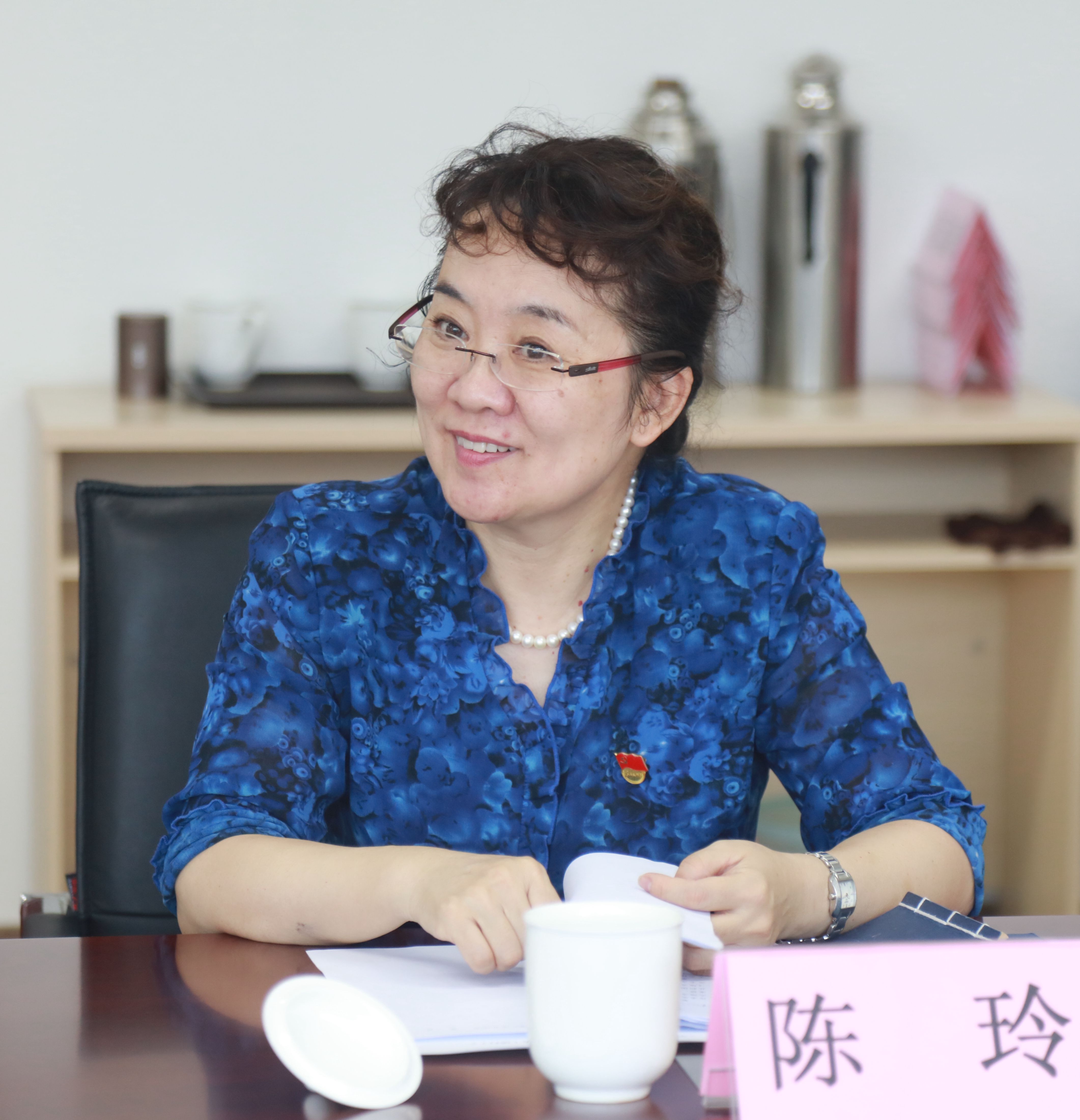 陈玲发言