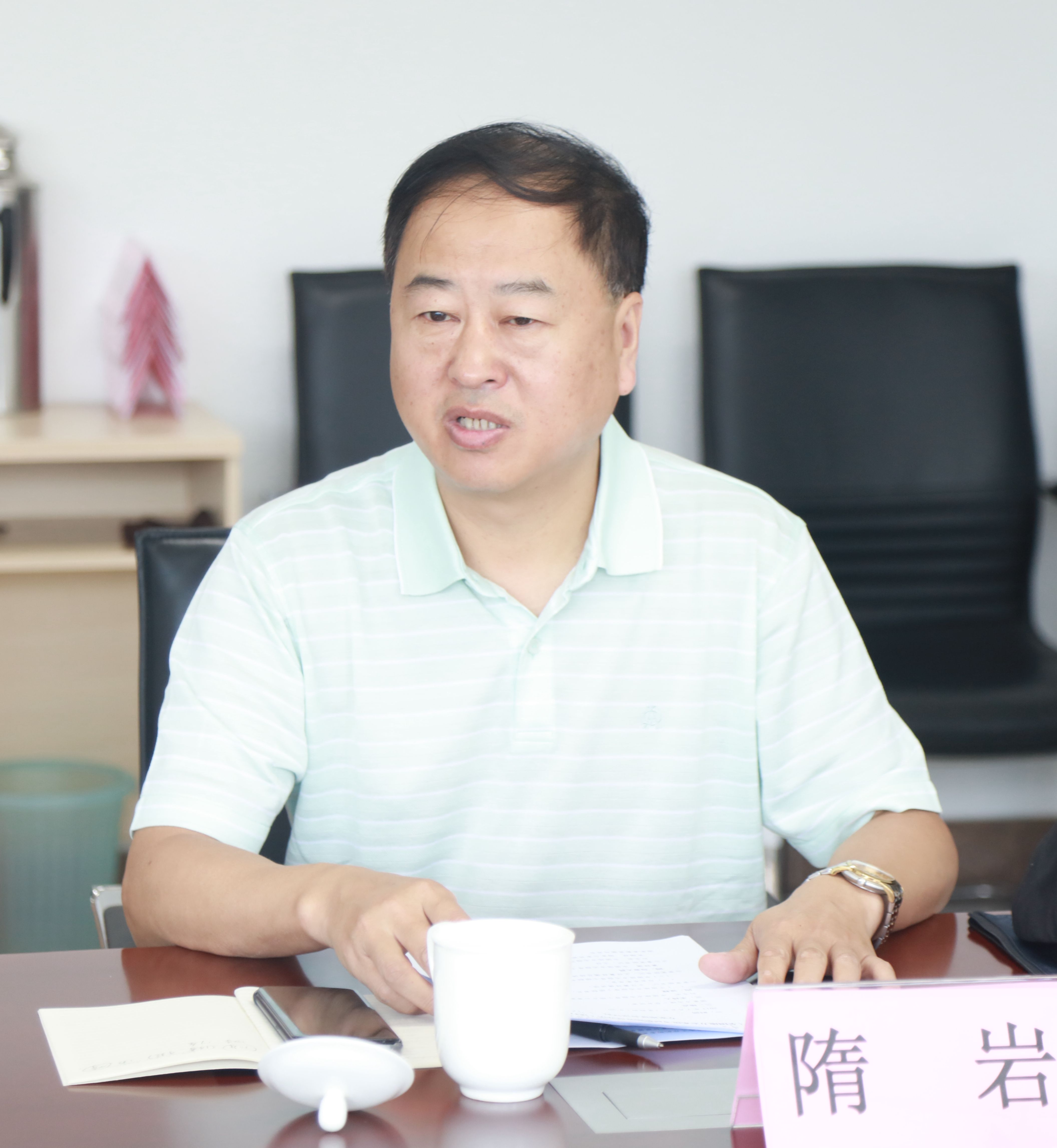 隋岩发言