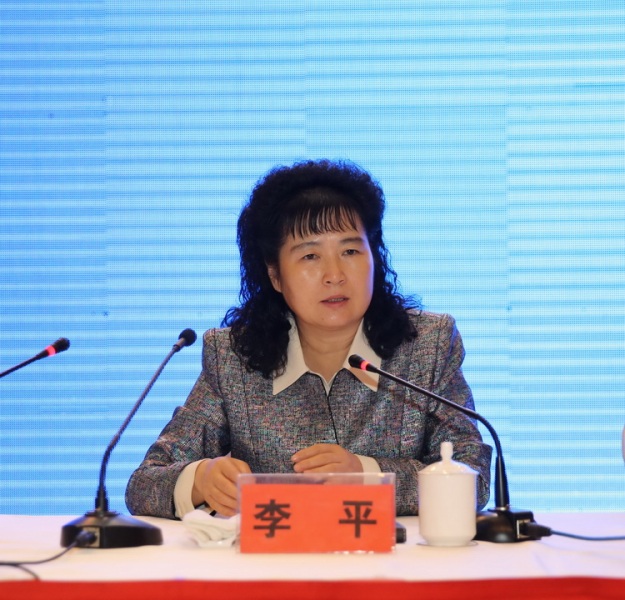 李平副市长致辞
